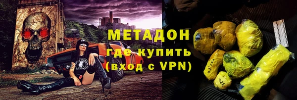 прущие грибы Балабаново