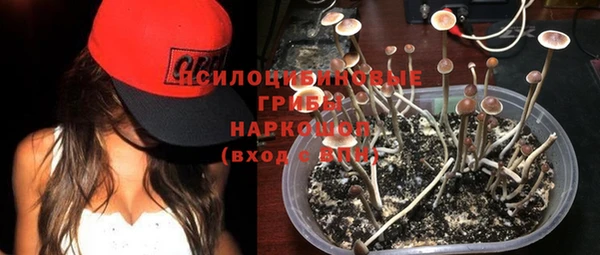мдпв Струнино
