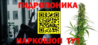 гашик Гусев
