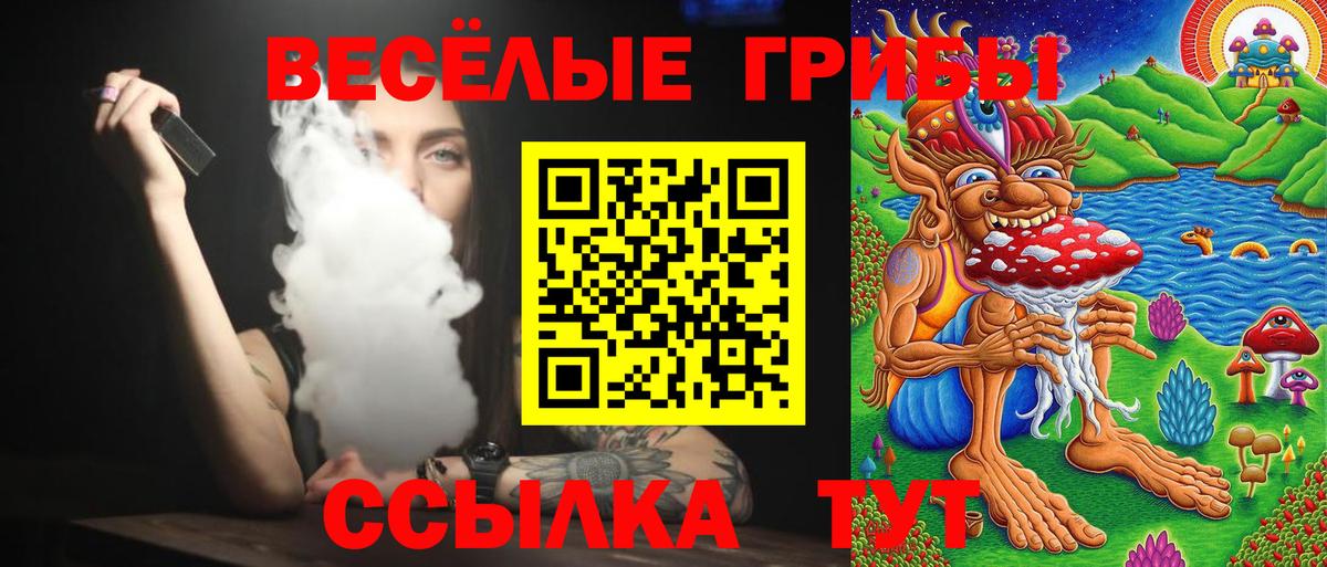 Краснокаменск  Псилоцибиновые грибы мухоморы  Вход с VPN 